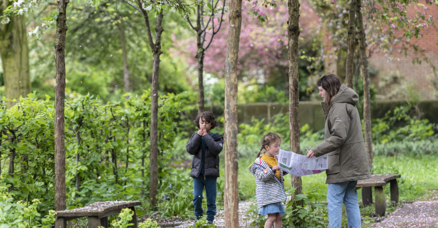 A family on the Bloomtown Trail in Manchester playing among the blossom trees.