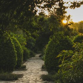 A pathway through a garden at sunset.