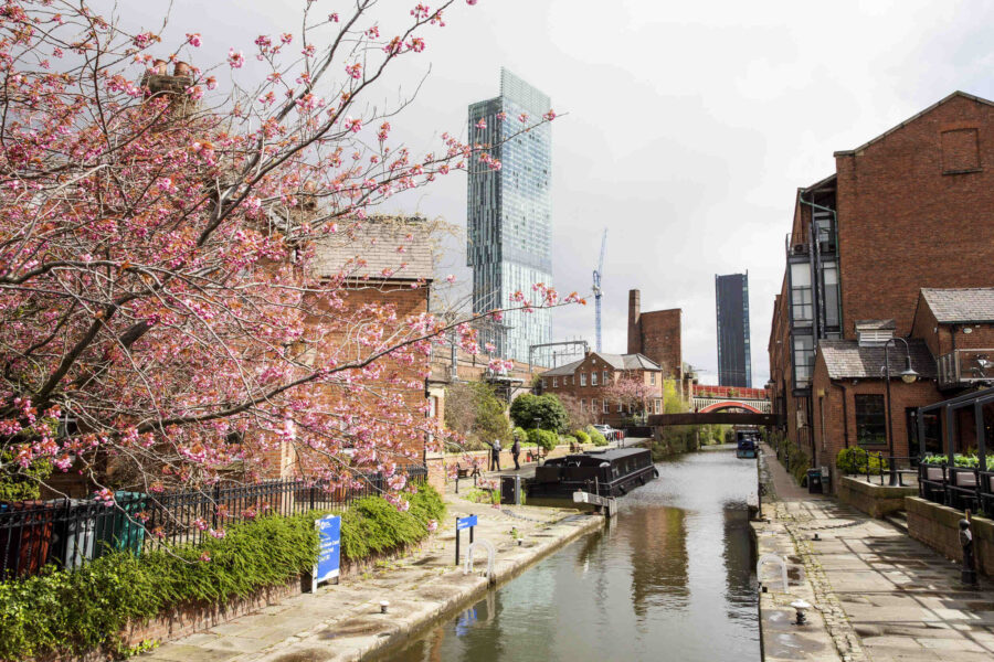 Canal with a pink blossom tree and a view of a skyscraper.