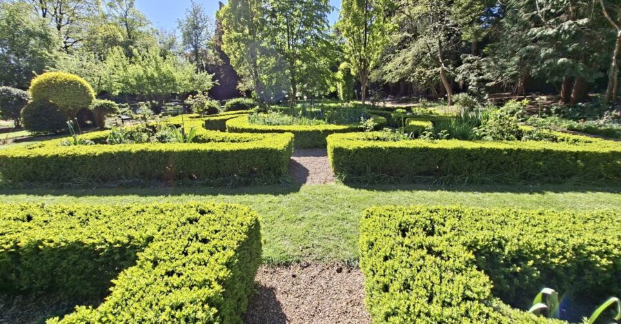 The Shakespeare Garden in Platt Fields Park in Fallowfield with well manicured hedges.
