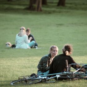 Two couples sat in a grassy field