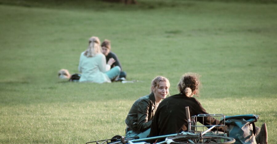 Two couples sat in a grassy field