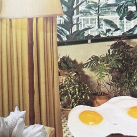 A close-up of a room where there are two fried eggs, a lamp and three plants.