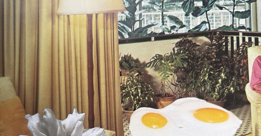 A close-up of a room where there are two fried eggs, a lamp and three plants.
