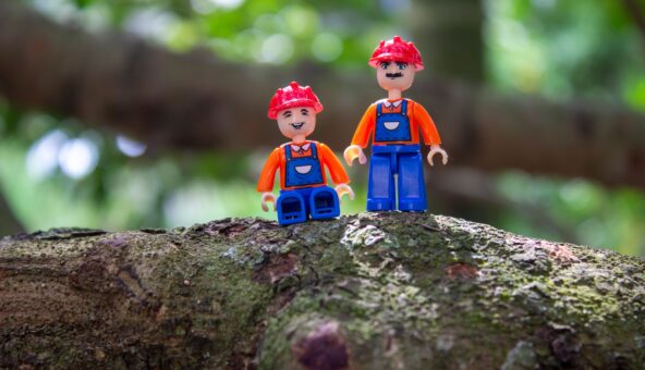 Two Lego figures stood on a tree branch.