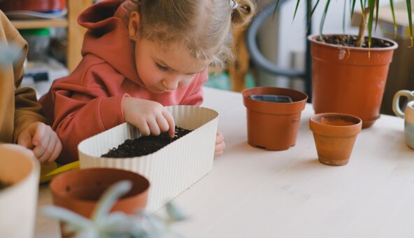 A young girl planting seeds in a pot on a table.